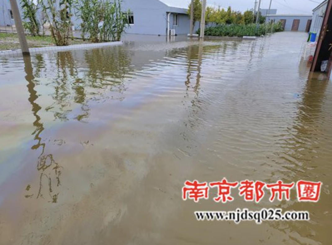截屏2025-07-14 09